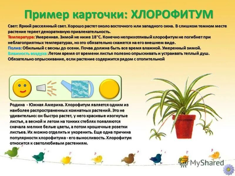 профиль встраиваемый для подсветки для вертикальной стены. естественное освещение комнаты. освещение в интерьере. светодиодная лента paulmann fn maxled 1000 basiss ww 21w silber 1. настенное освещение комнаты.