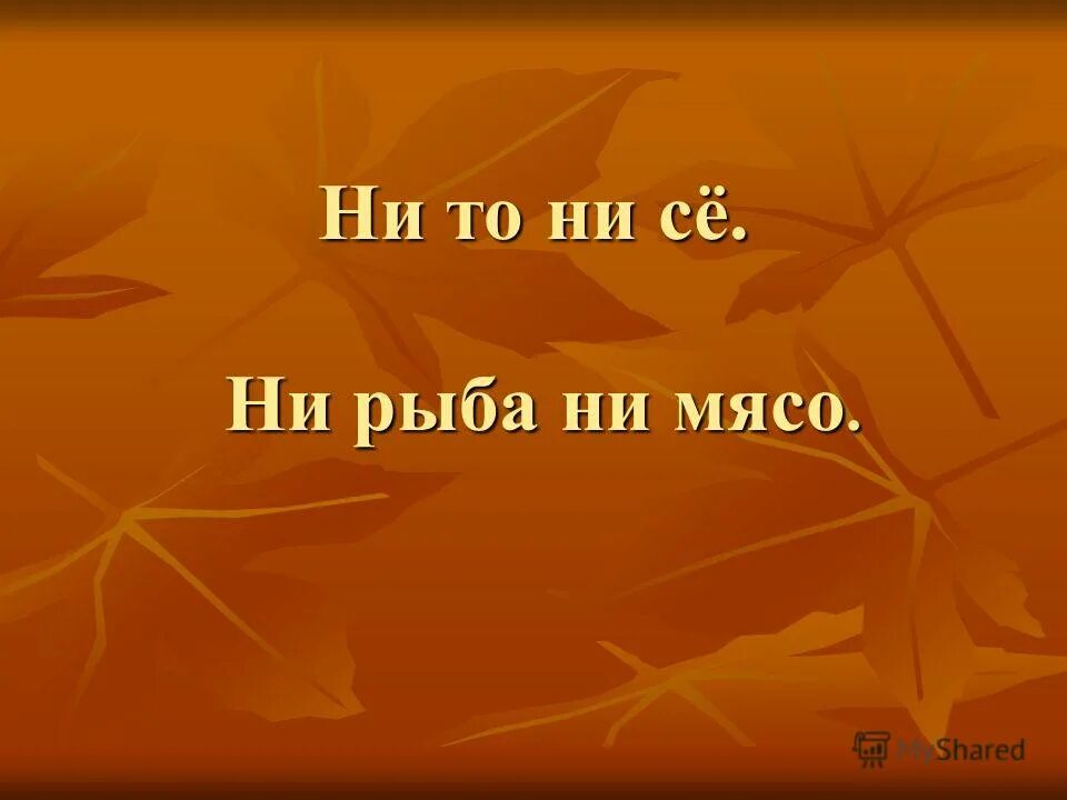 Ни рыба. Ни то ни сё. Ни то ни сё значение. Ни рыба ни мясо продолжение. Ни то ни сё синоним.