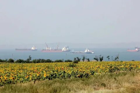 Кубано черноморский