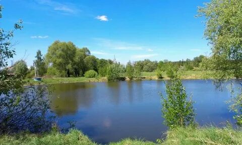 Бронницы белоозерский