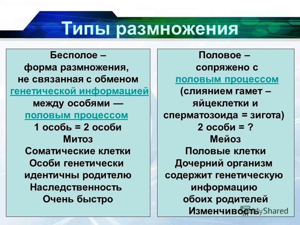 полового размножения растений. способы бесполого и полового размножения таблица. генотип и фенотип в задачах. генотипы дочерних организмов идентичны родительскому. генетическая схема закона расщепления менделя.