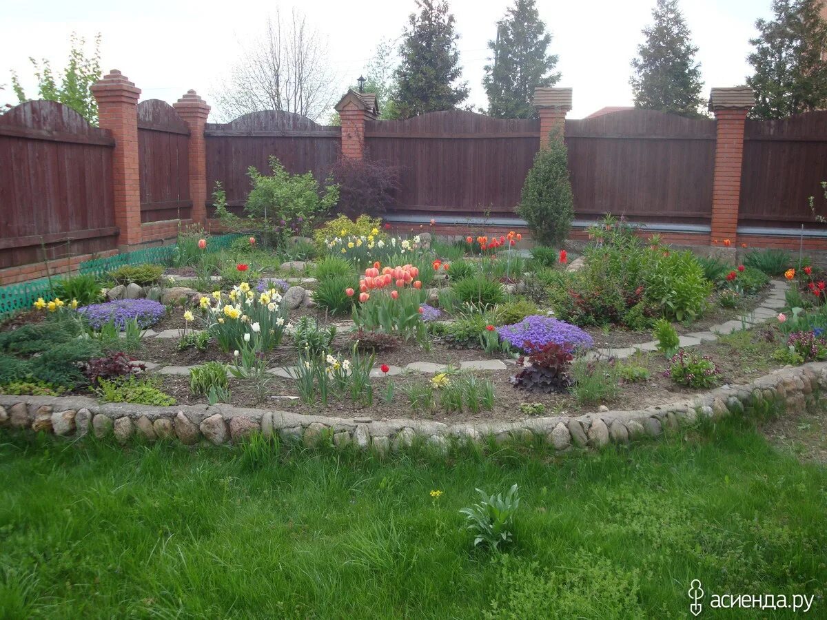 Клумба в углу забора. Клумбы на даче. Цветник в углу участка. Угловая клумба с туями. Как красиво оформить угловую клумбу цветами.