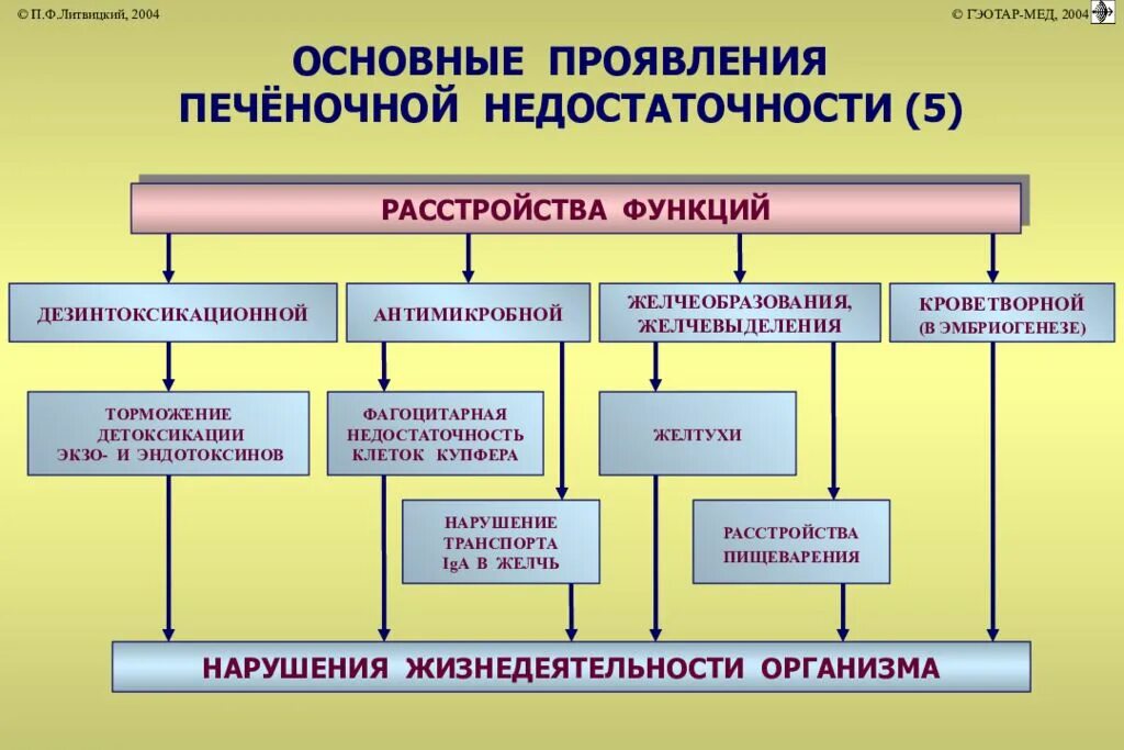 Функция печени печеночная недостаточность. Проявления острой печеночной недостаточности. печеночная недостаточность патофизиология. клинические проявления печеночной недостаточности. функции печени патофизиология.