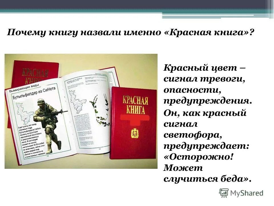 Красная книга. Почему книга называется красной. Почему книгу назвали красной. Почему именно красная книга. Красная книга сценарий