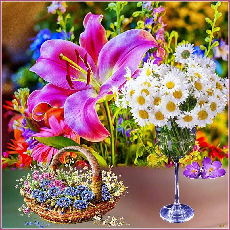 Пожелания картинки красивые необычные. Цветок радости и счастья. Яркие цветы для настроения. Цветы чудесного настроения. Цветы с добрыми пожеланиями.