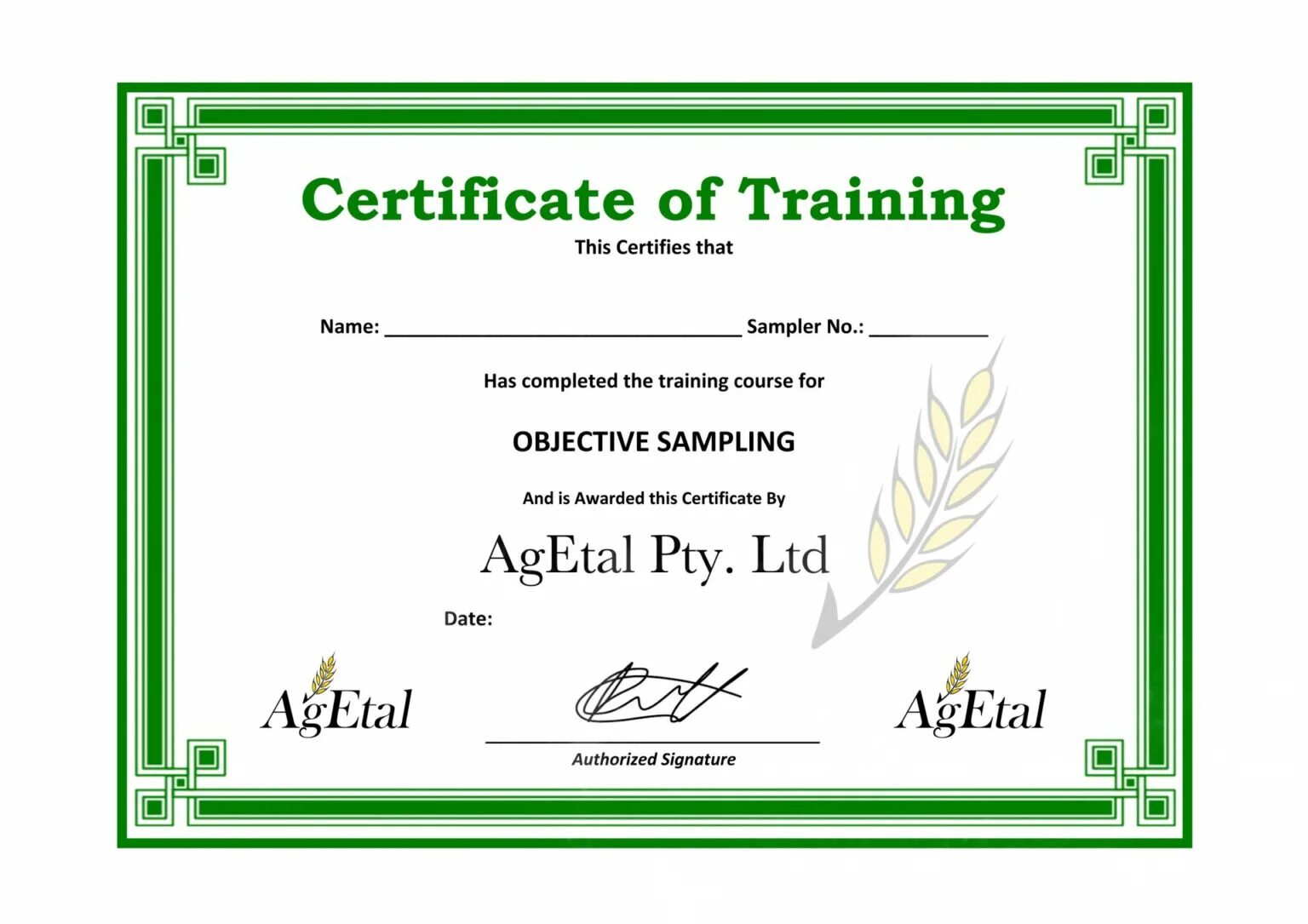 Training Certificate. Training Certificate Template. Training Certificate Sample. Certificate for the Trainer.