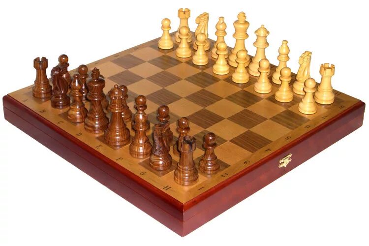 Компьютерные шахматы на компьютере. Шахматы с компьютером. Шахматы знаешь играть. Шахматный турнир для пожилых. Турнир по шашкам.