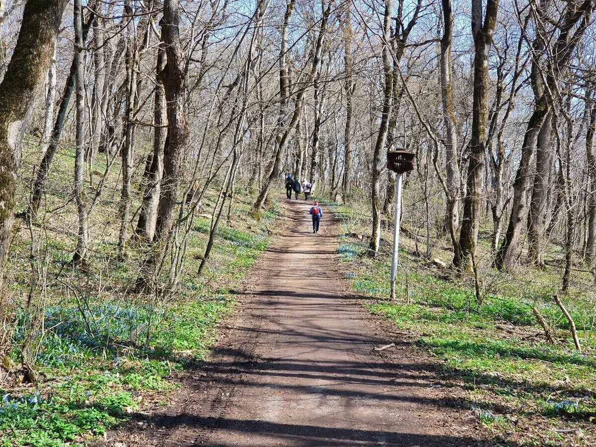 Призрак Железноводск. Кари в Железноводск. Много ступенек Железноводск.