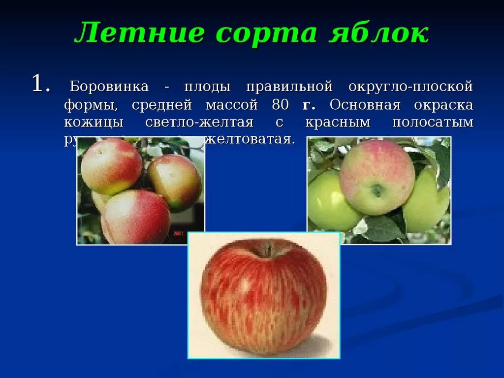 Сорта культурных растений 2 класс яблоки. Название яблок. Сорта яблок названия. Сорта яблок в картинках.