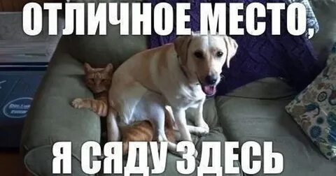 Да я сяду