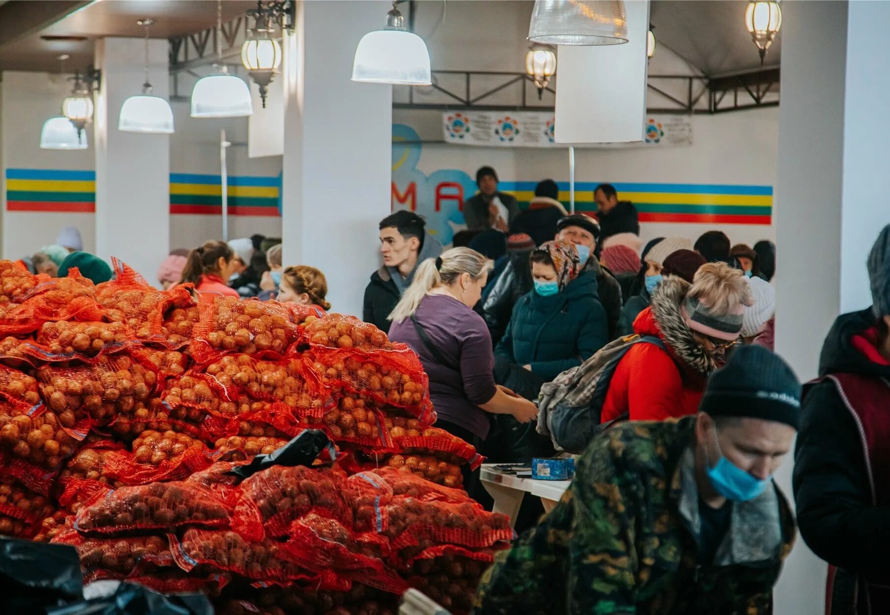 выставка картофель 2023 чебоксары. картофель 2022 чебоксары. агроинновации чувашия. выставка картофеля в чебоксарах. картофельные выставки чувашии.