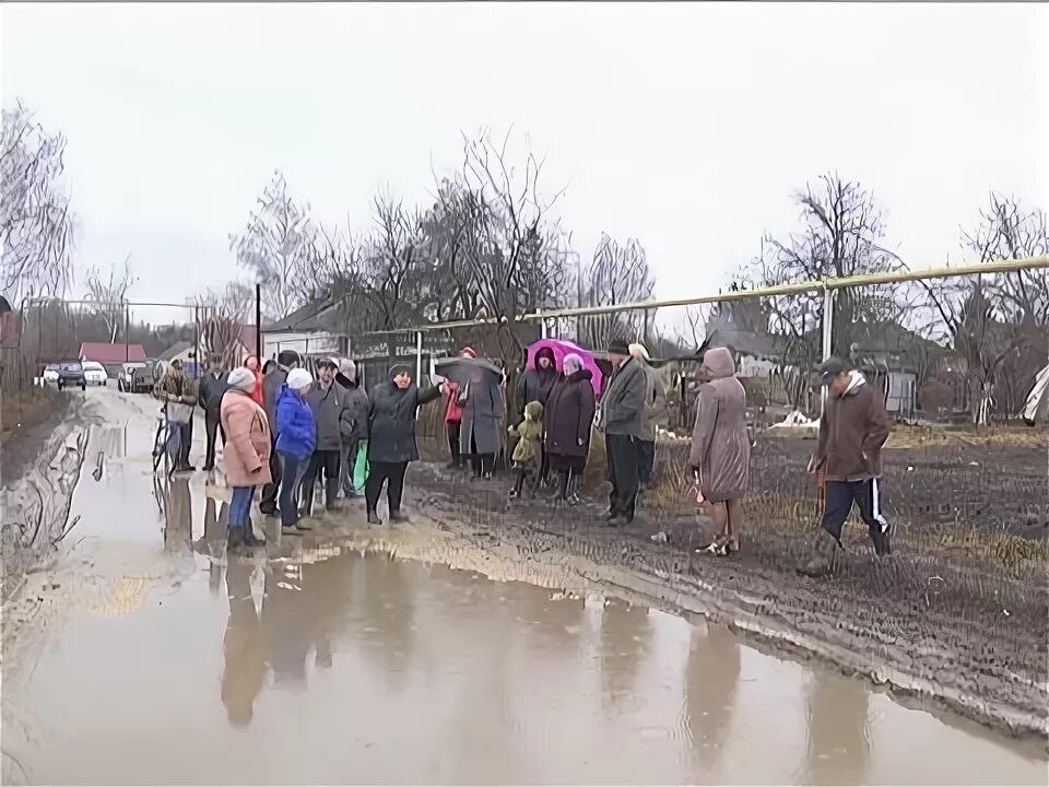 Здоровецкие выселки. Здоровецкие Выселки Ливенский район. Село Здоровецкие Выселки. Здоровецкие Выселки Ливны. Погода Здоровецкие Выселки.