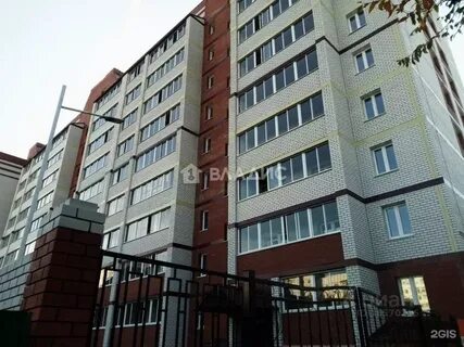 Циан благовещенск