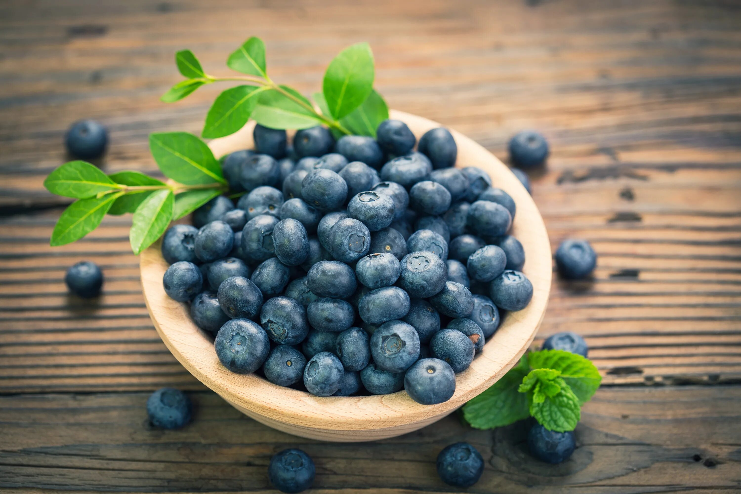Blueberry berry. Blueberry berry. Blueberry berry. Черника и голубика. Черника и голубика.