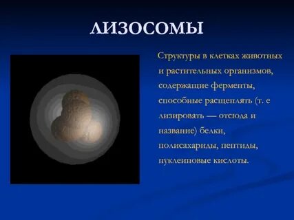 Лизировать это