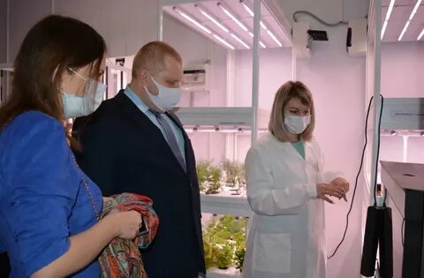 Огма брянск