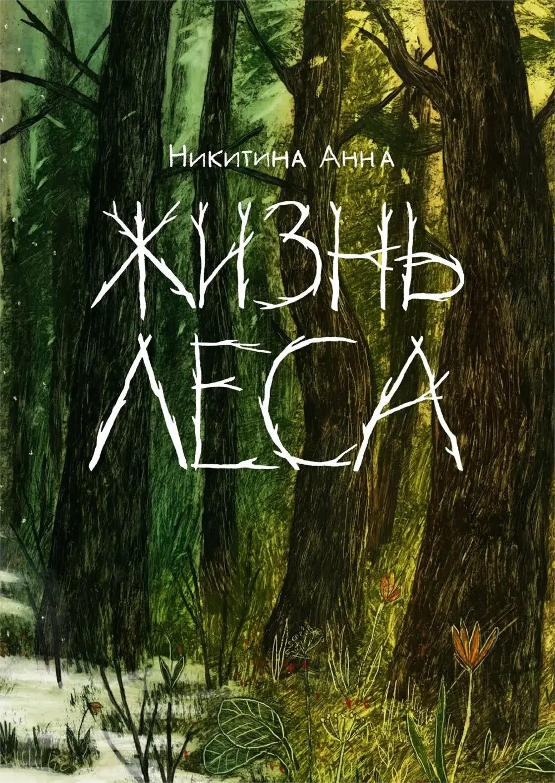 Книга лес. Книга в лесу. Книга леса. Книжка в лесу. Мистические книги в лесу.