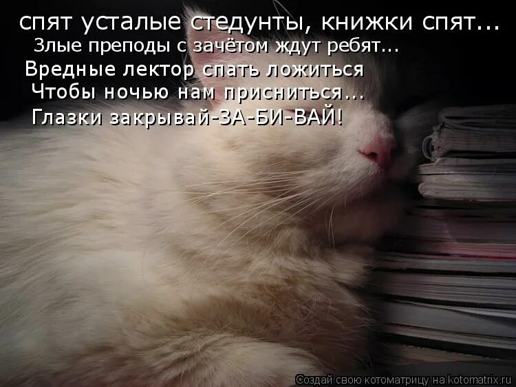 Ночной сон. Даже спать ложится чтобы ночью. Спяат уеталпе игрушкиенижки. Даже спать ложится чтобы ночью. Даже спать ложится чтобы ночью.