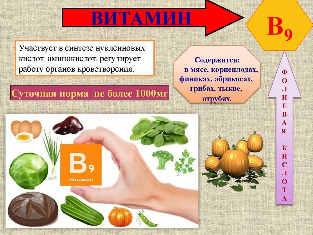 Уроки биологии витамины