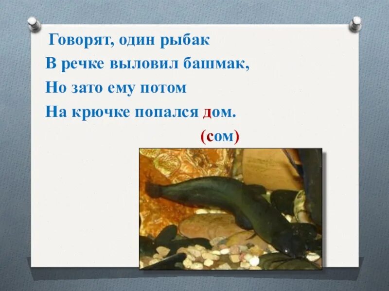 Говорят один Рыбак в речке выловил. Рыбак в речке выловил башмак. Стих Шибаев говорят один Рыбак. Говорят один Рыбак в речке выловил башмак но зато ему.