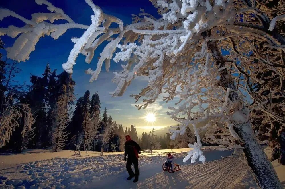 Вид зимы. Зимний пейзаж. Зимняя природа. Красивая зима. Красота зимы.