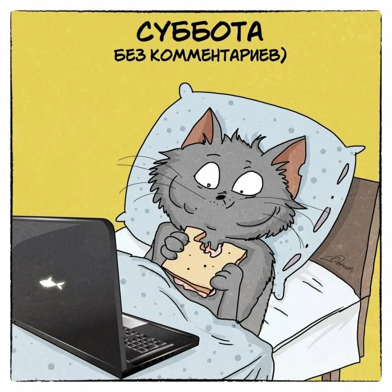 Суббота как правильно. Суббота приколы. Открытки с субботой прикольные. Шутки про субботу. Субботнее утро юмор.