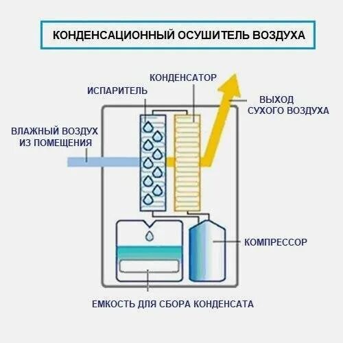 Как осушить квартиру