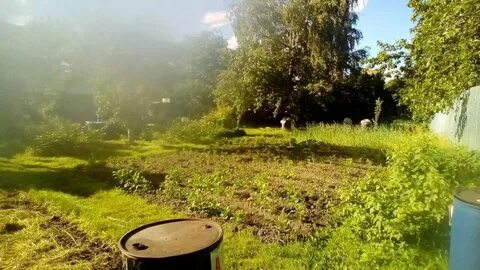 Участок 276