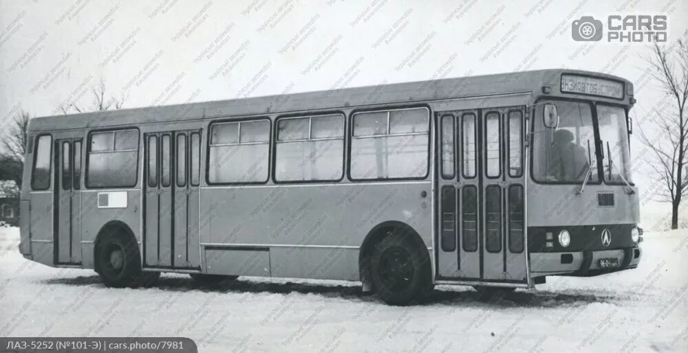 Автобус ЛАЗ 5252. ЛАЗ 696. ЛАЗ 5252 опытный. ЛАЗ 4302.
