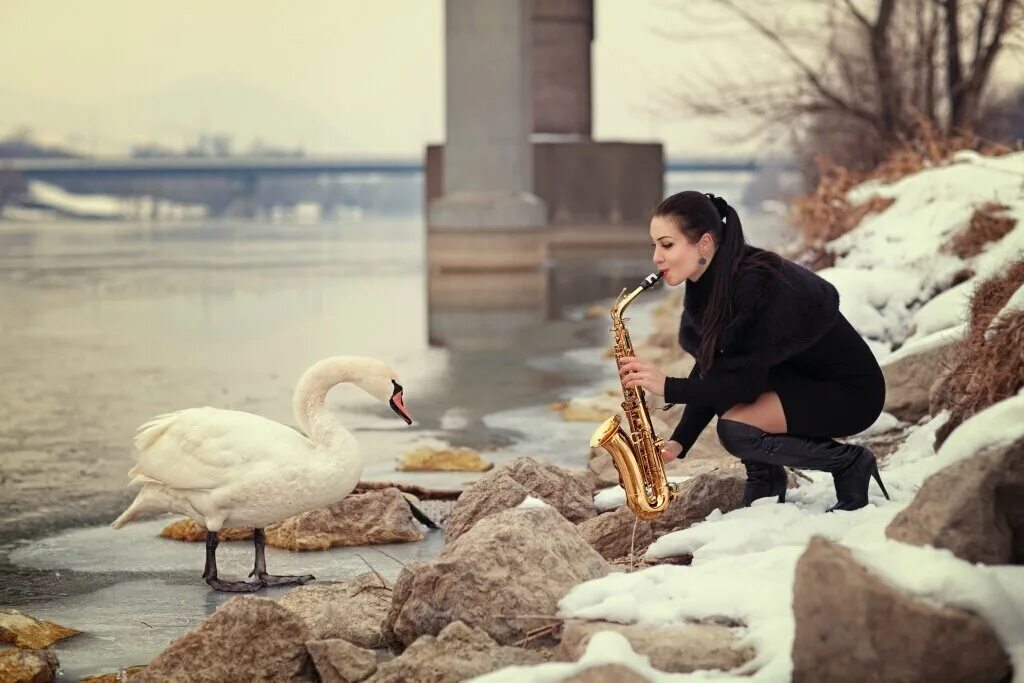 Девушка лебедь. Романтический саксофон. Саксофонист зимой. Девушка кормит лебедей.
