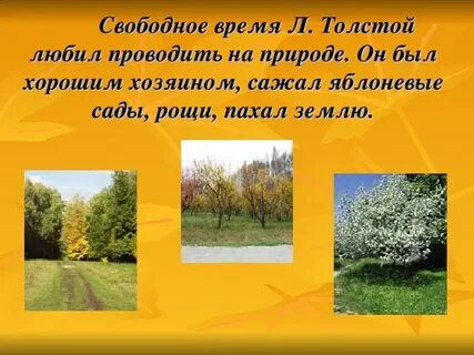 Поляне презентация
