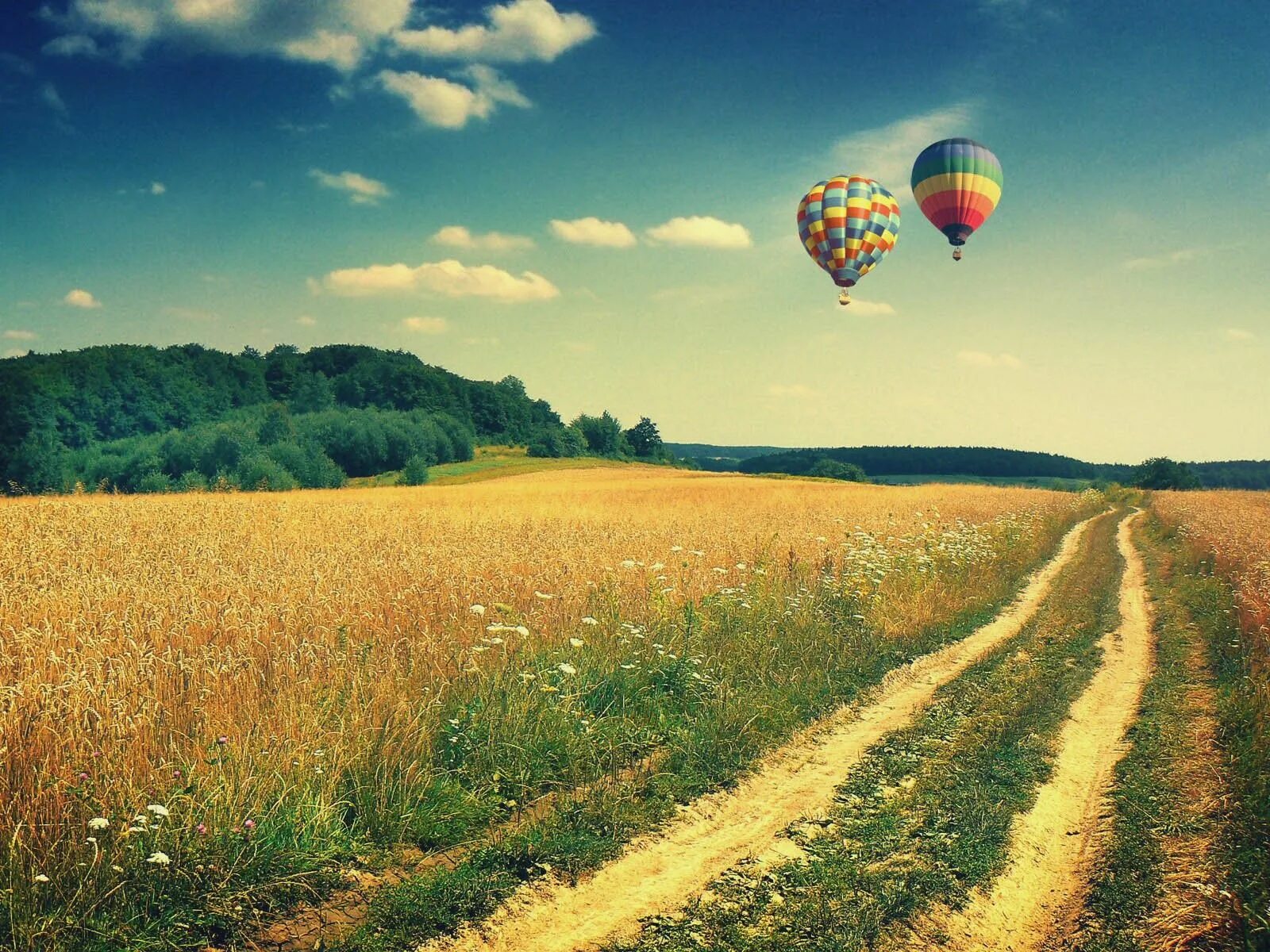 Воздушный пейзаж. Воздушные шары над полем. Воздушный шар природа. Воздушный шар в поле.