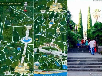 Как добраться до парка дендрарий