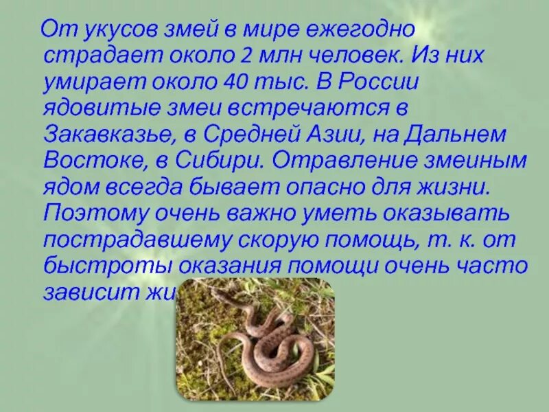 Что будет если укусит змея. Симптомы при укусе змеи.