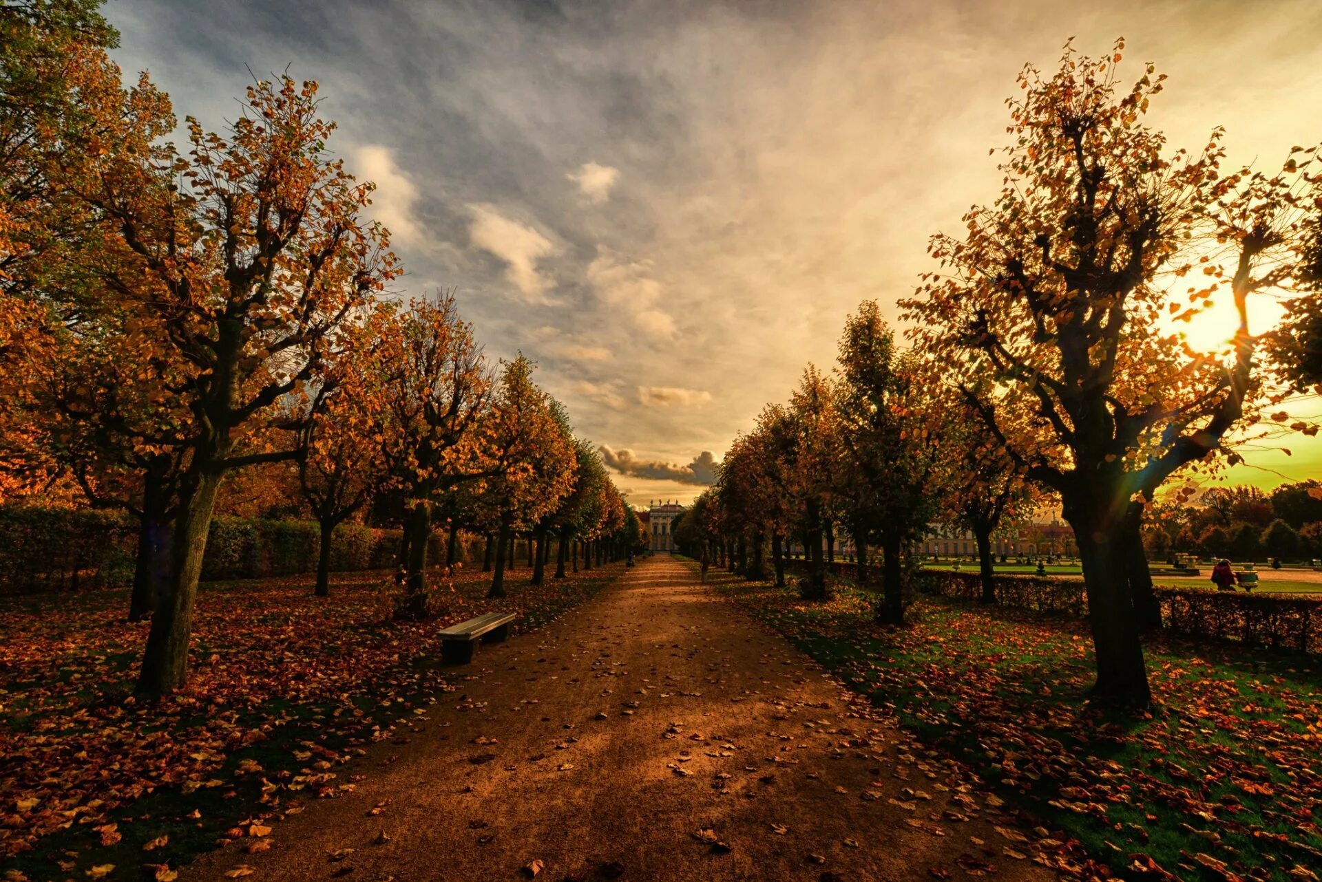 Осень без людей. Осенний парк. Аллея деревьев. Осень в парке. Осень аллея.