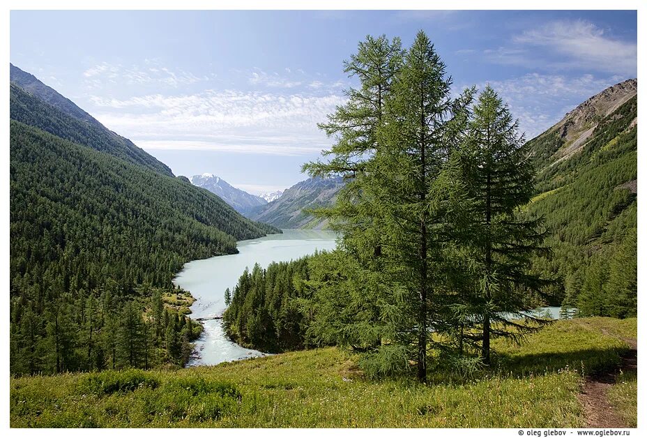 Амур республика алтай. Кучерлинское озеро. Горный Алтай староверы. Амур Усть Коксинский район.