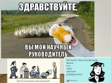 Здравствуйте будете