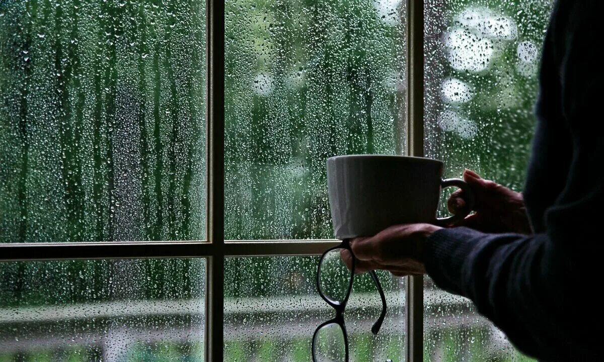 Немного теплее за окном. Дождь за окном. дождь в окне. ливень за окном. дождик за окном.