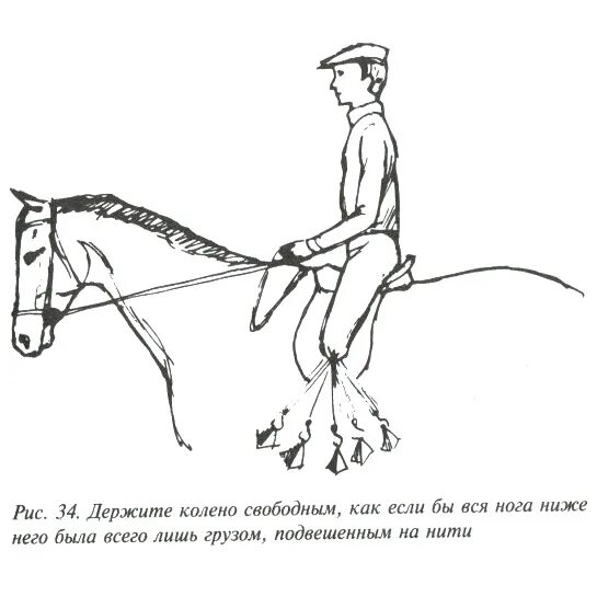 Гонит всадник коня держится за поводья смотрит. Правильная посадка всадника на лошади. Правильная посадка в седле при верховой езде. Положение шенкеля на рыси. Правильная посадка на лошади на рыси.