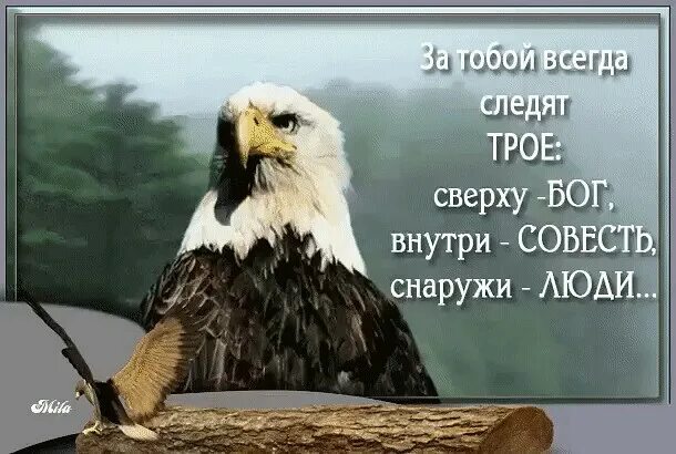 Следить всегда. Сверху бог внутри совесть снаружи люди. за тобой всегда следят трое сверху бог внутри совесть. за тобой всегда следят трое. бог видит нас изнутри а не снаружи.