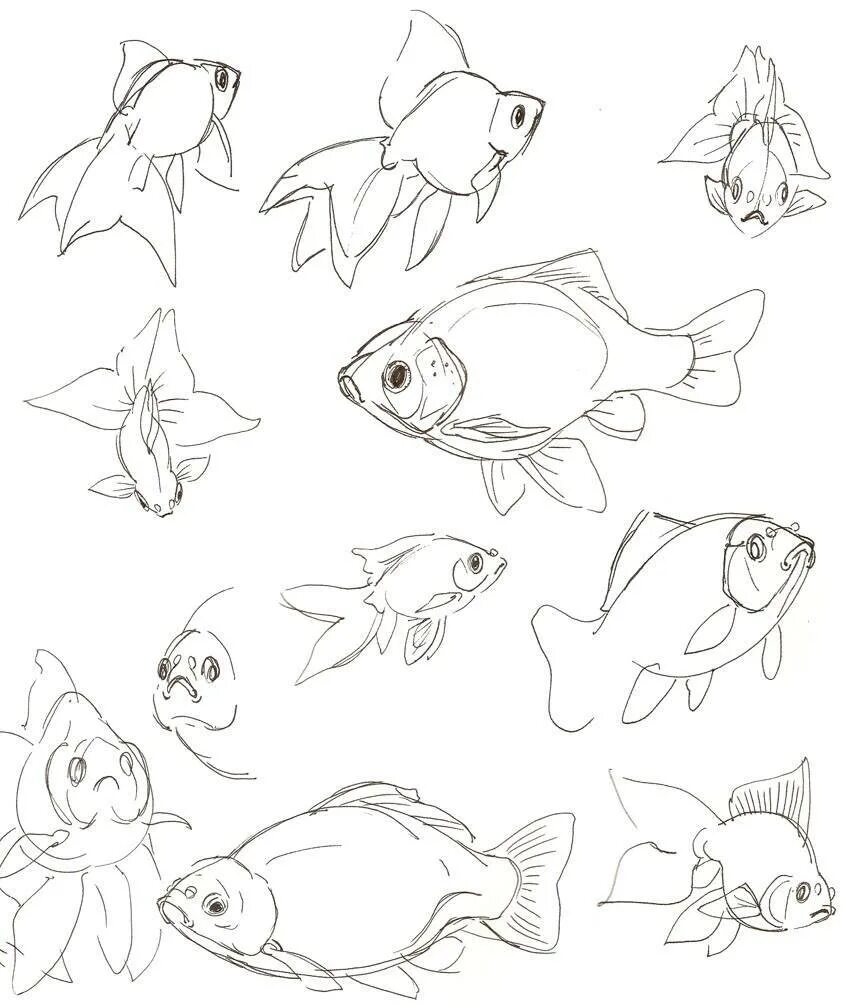 Рыба с разных ракурсов. Рыбка карандашом. Зарисовки рыб. Рыбка рисунок карандашом. Нарисовать рисунок рыбу