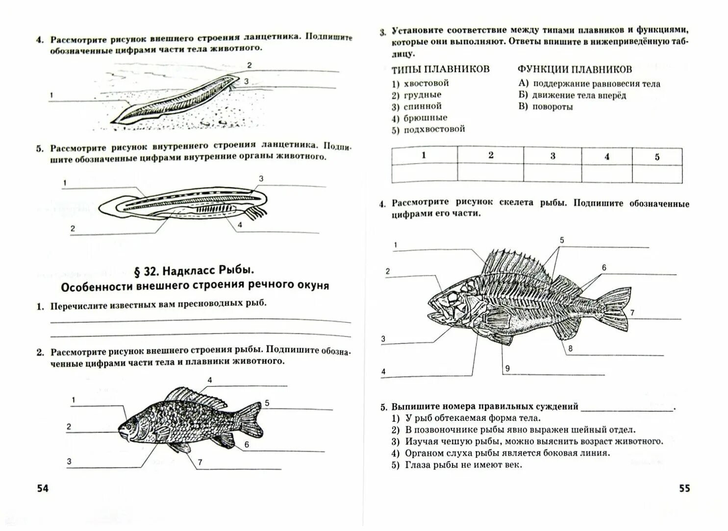 Тип симметрии животного впр. Биология внутреннее строение рыб рабочая тетрадь. Лабораторная работа внутреннее строение рыб строение рыб. Рабочая тетрадь по биологии 7 класс Тихонова. Тест по биологии 7 класс Тихонова Романова рыбы.