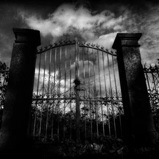 Gate видео