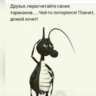 Песня пропали тараканы