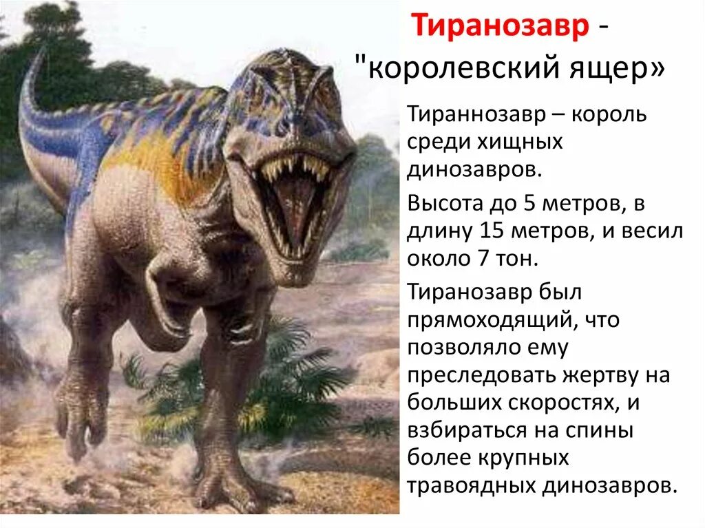 Тираннозавр атакует травоядных ящеров какая эра