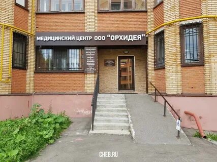 Орхидея чебоксары телефон