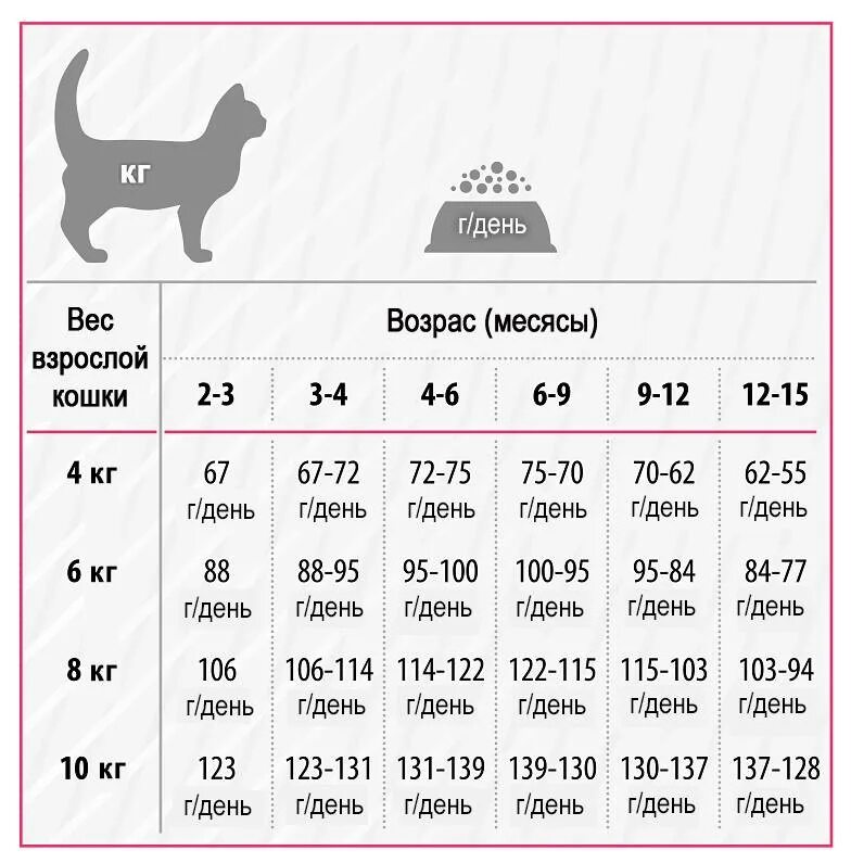 Таблица нормы корма для котят. Норма сухого корма для кота 4 кг. Норма сухого корма для котят 5 месяцев. Норма сухого корма для котят 5 мес. Сколько пакетиков корма давать
