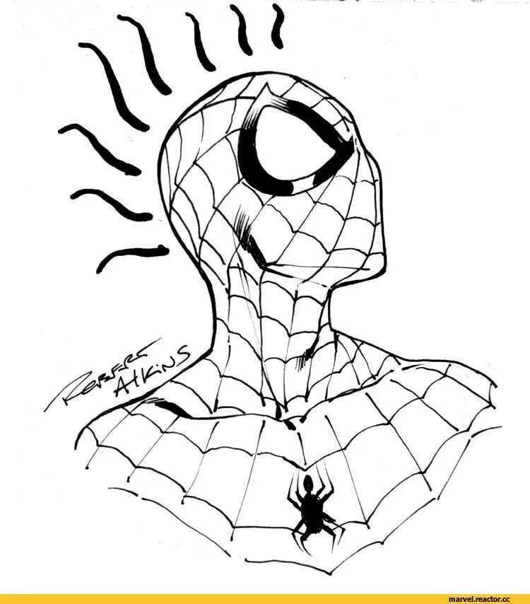 Draw spider man