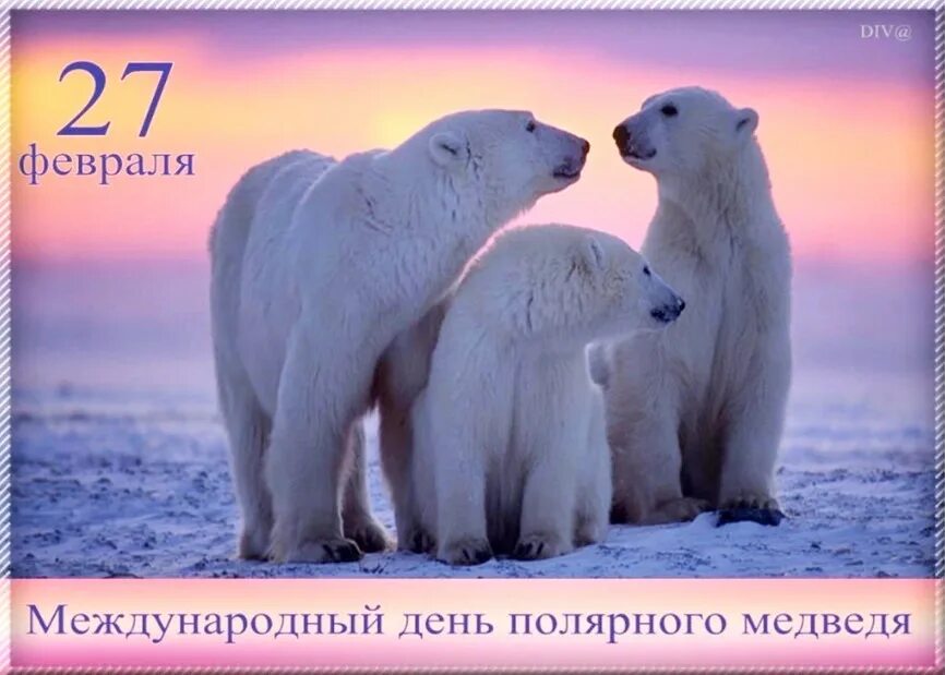 Международный день белого медведя картинки. Международный день полярного белого медведя 27 февраля. 27 февраля в мире отмечается международный день полярного медведя. 27 февраля белый медведь. день полярного медведя.