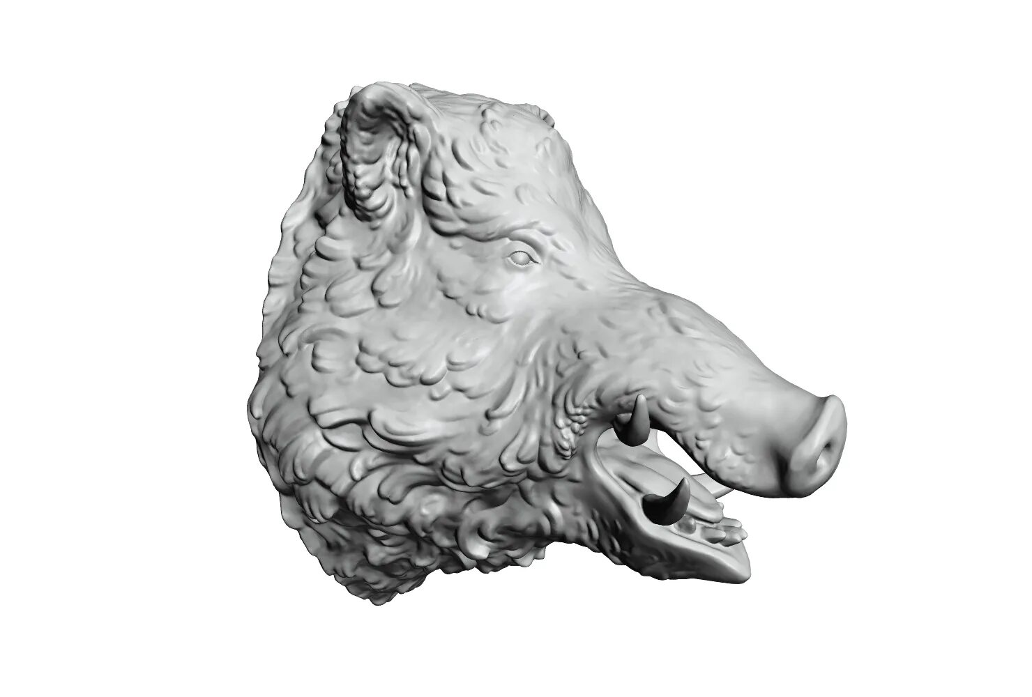 Fbx to stl. Голова кабана стл модель. кабан stl. 3d модель кабана stl. кабан 3d модель голова.
